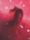 Horsehead