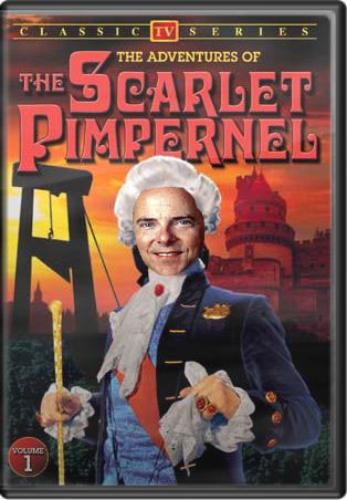 Scarletpimpernel2_copy Scarletpimpernel2_copy