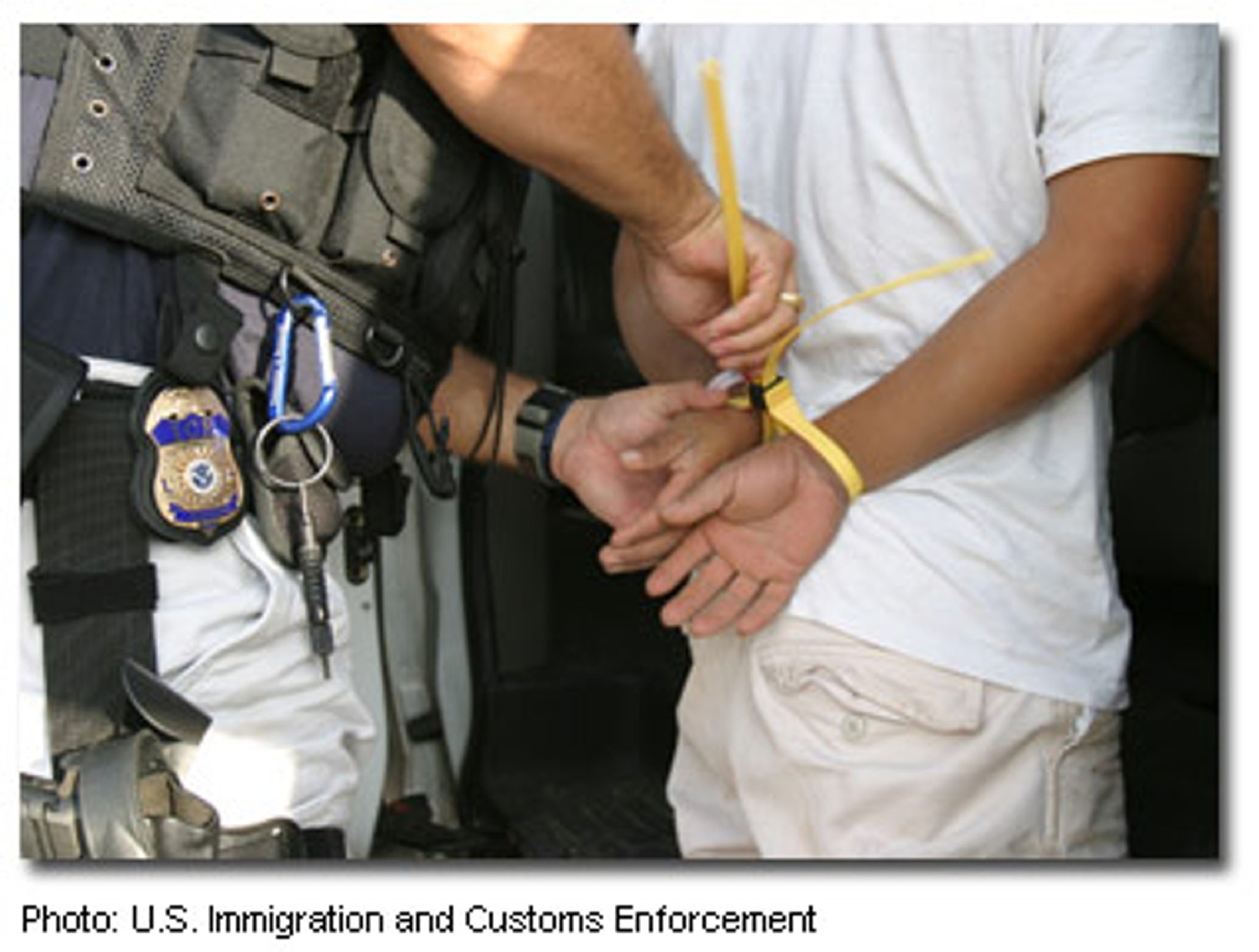 Illigal Immigrant Grounds for Breach of Contract?