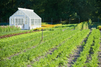 agricultural photo DJB