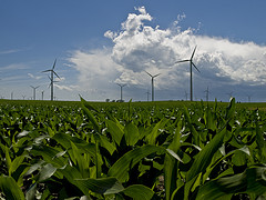 wind farm m.jpg