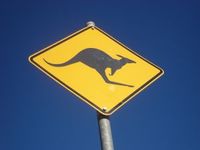 kangaroo_sign.jpg