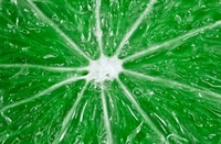 lime.jpg
