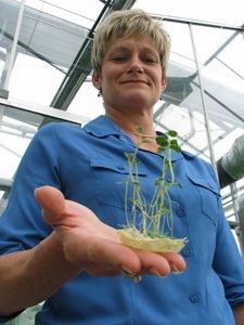 marlyssprouts-featured.jpg