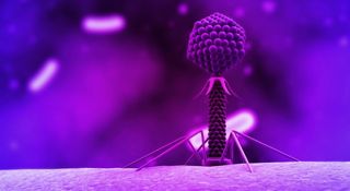 phageclearance-iphone.jpg