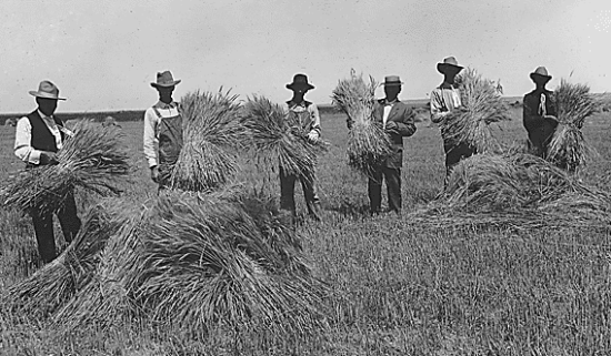 http-rlhb-lexblogplatformthree-com-wp-content-uploads-sites-111-2012-01-law-blogs-separate-wheat-from-chaff-png