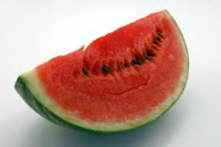salmonella watermelon.png