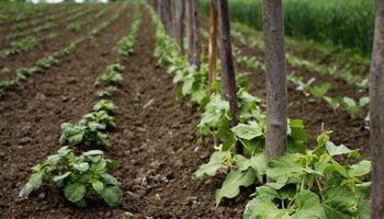 freshproduce-350.jpg
