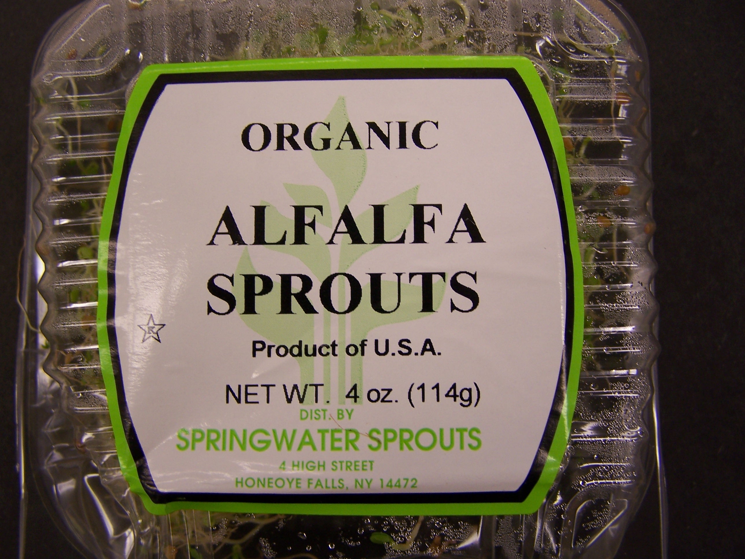 Sprout_Front_412.jpg