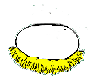 http___www.esteshatchery.com_chickanimate.gif