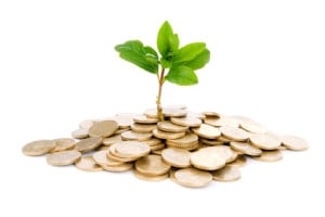 seed money