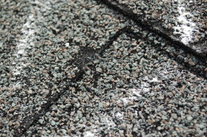Hail Impact Mark
