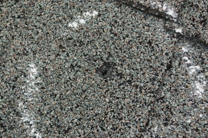 Hail Impact Mark