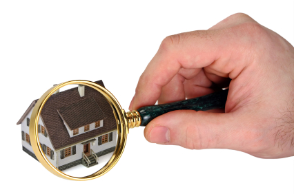 home inspection magnified.jpg
