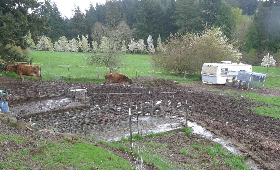 Marler Raw Milk