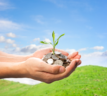 iStock_000018764690_ExtraSmall.jpg