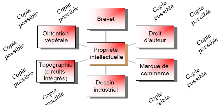 Graphique