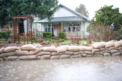 flood.jpg