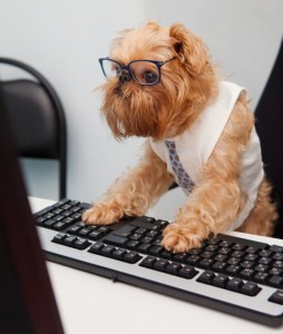 Dogs at Work