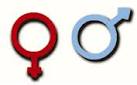 gendersymbol
