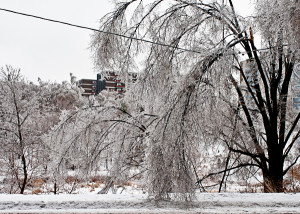 Icestorm2013