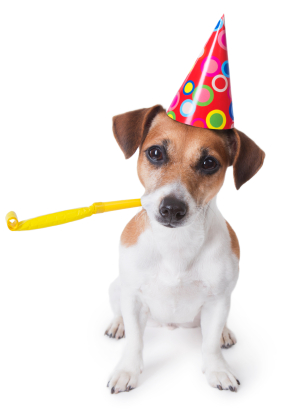 iStock_000029585012XSmall