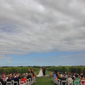 Karin's Wedding