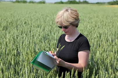 http-foodsafetynewsfullservice-marlersites-com-files-2014-10-agronomist-in-wheat-field-1-jpg
