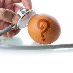 egg