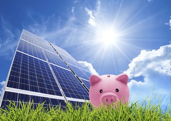 SolarPanelPiggySmall.jpg