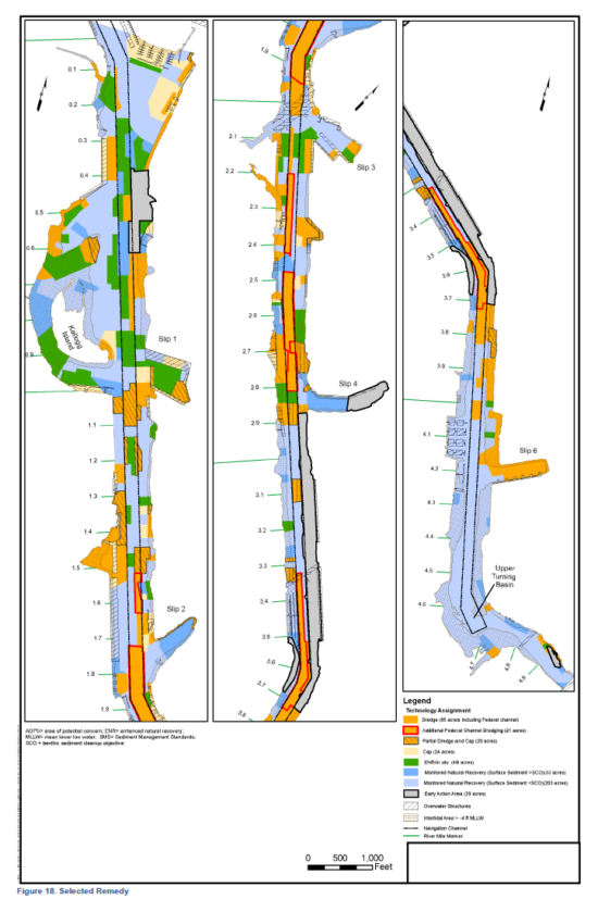 Duwamish Selected Remedy