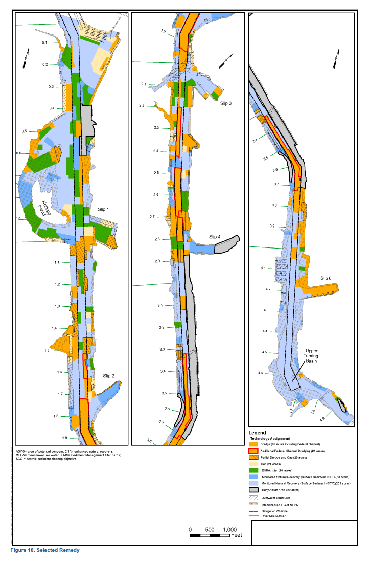 Duwamish Selected Remedy