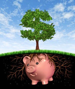 Seed Money for Piggybank