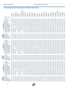 IRR Viewpoint 2015 Pages_2