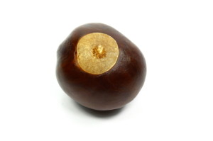 iStock_000007849551Small