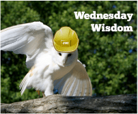 https-nc-construction-law-com-wp-content-uploads-2014-02-wednesday-wisdom-pngw202h167
