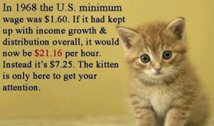 https-caemployeerights-com-wp-content-uploads-2015-02-minimum-wage-kitten-300x177-jpg