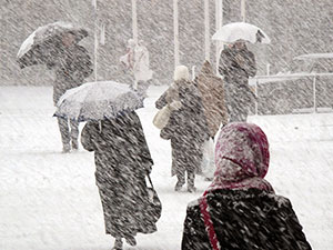 snow_day-1