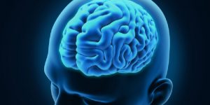 personal-injury-brain-injury-napoli-law-300x150.jpg