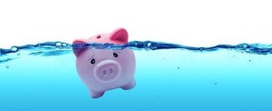 drowning pig