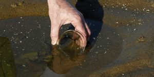 environmental-litigation-bethpage-toxic-waste-lawsuit-napoli-law-300x150.jpg