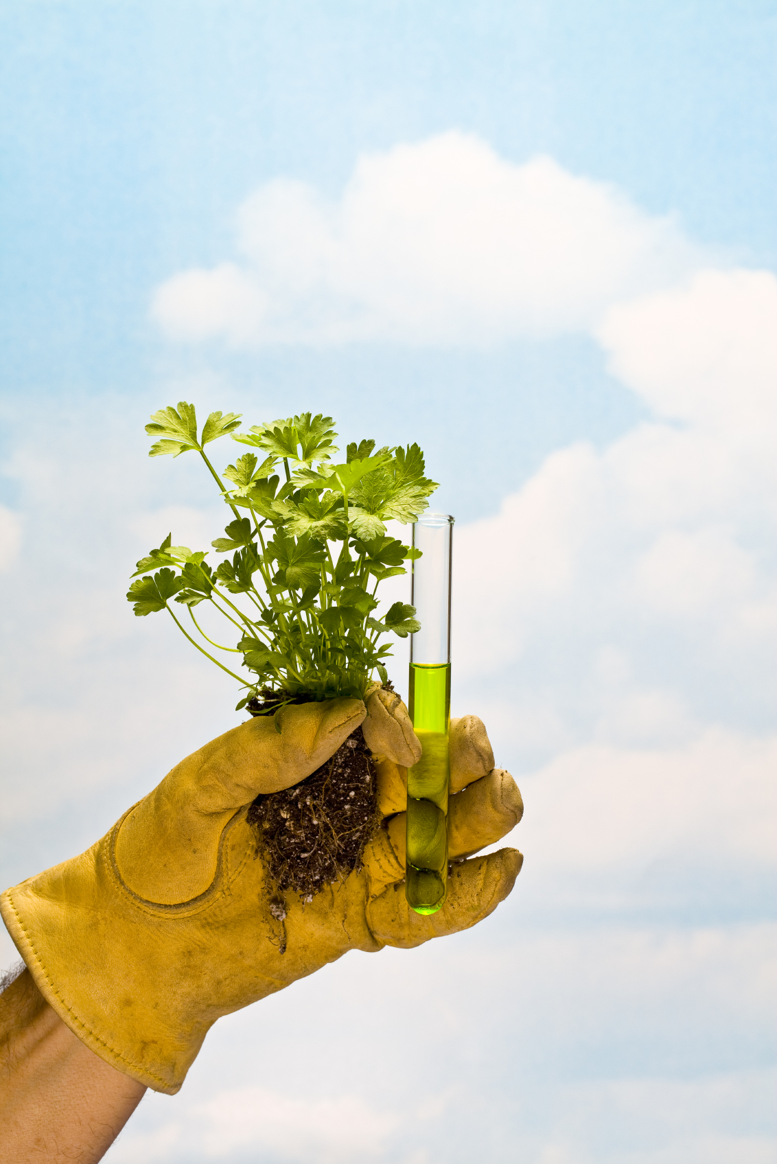 Science and Nature