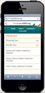 Pro Bono To Go - Checklist Options