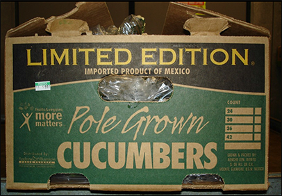 Mexican cucumbers in box
