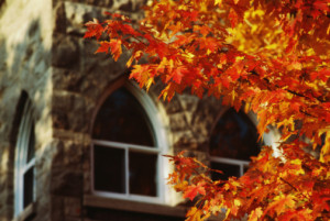 UniversityImage