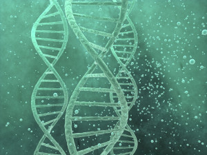 DNA