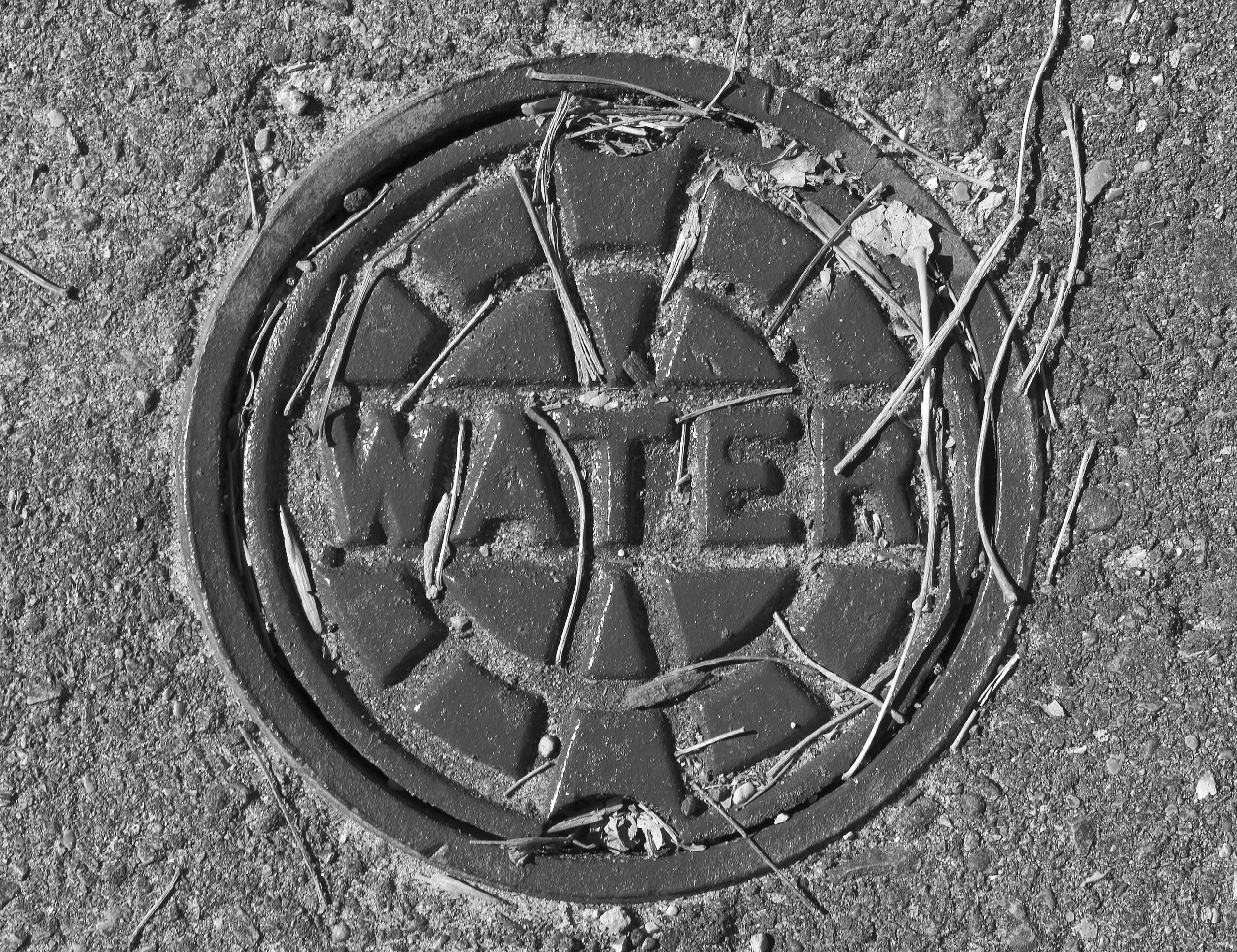 ENVIRO_iStock_000000949049_Large_BW