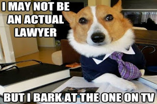 turtleboy-lawyer-630x420-2.jpg