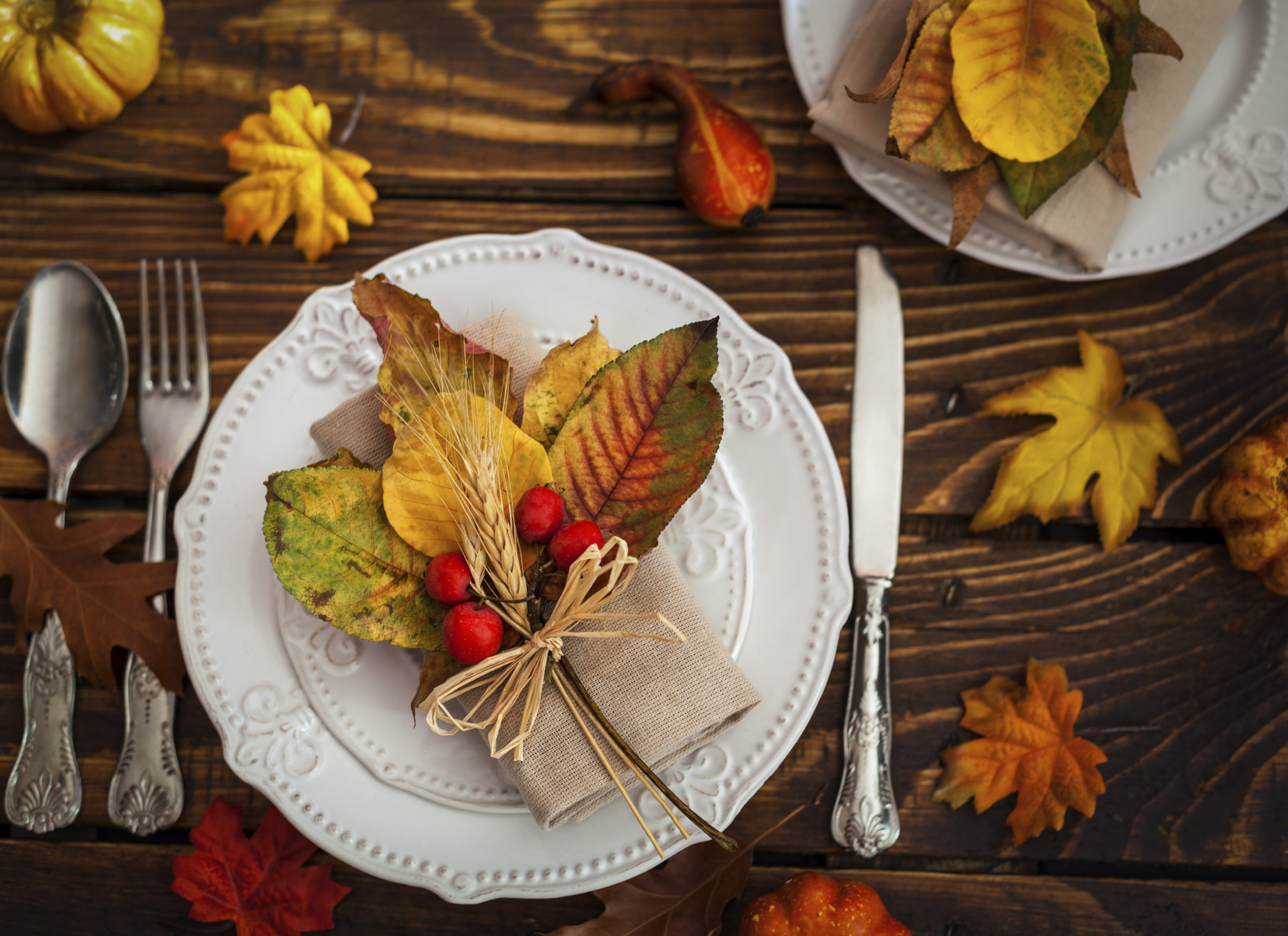 iStock_000046892818_Large