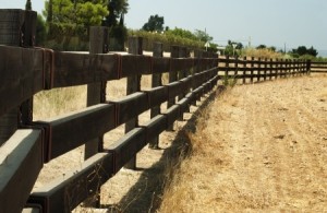 horse fence